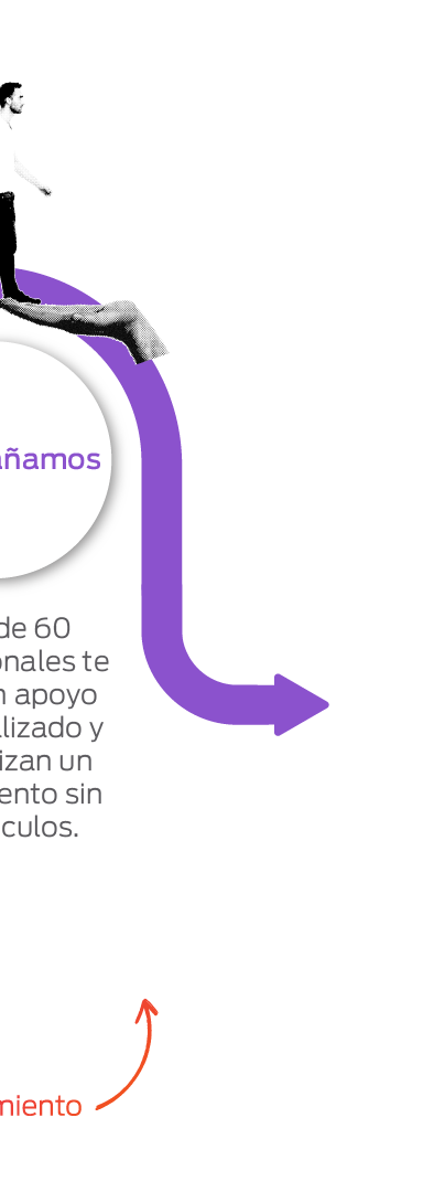 Ciclo de vida Carrusel 5